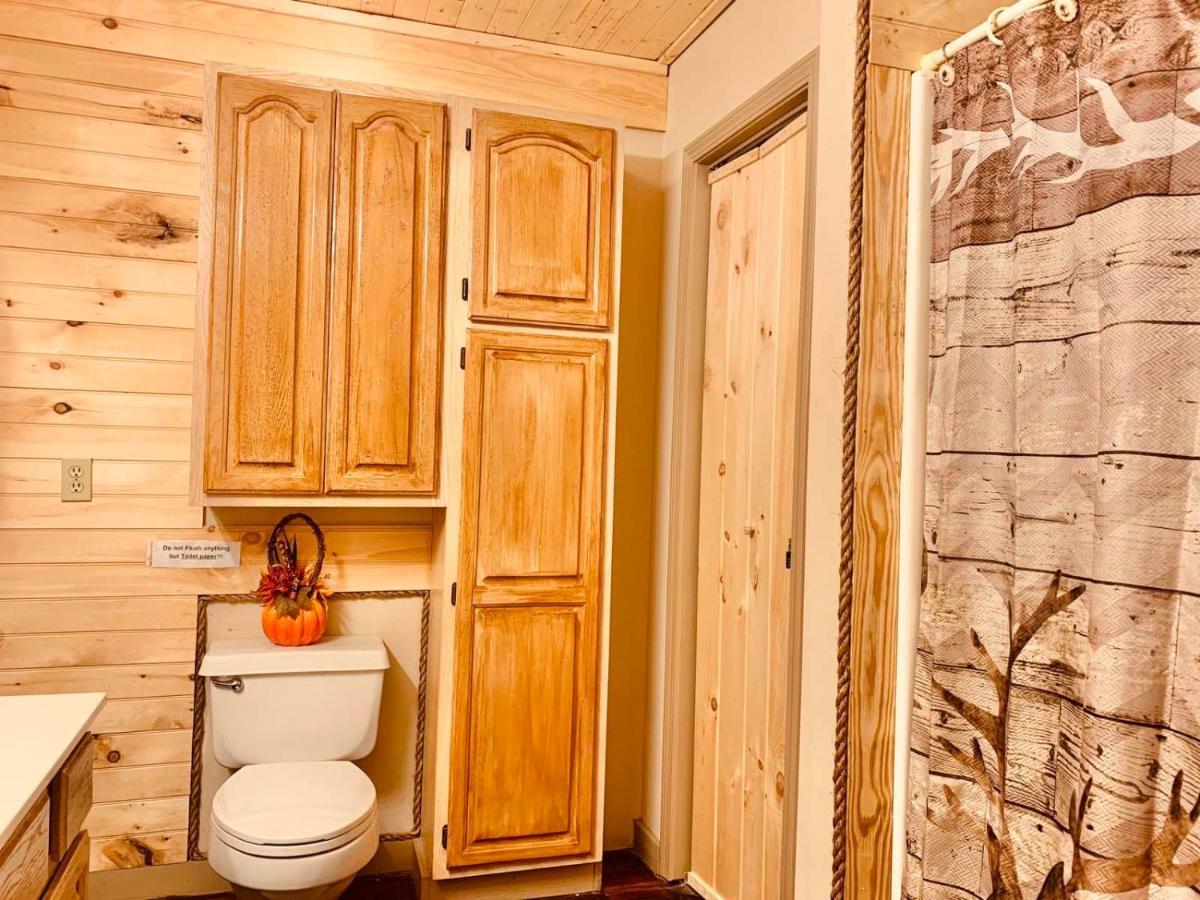 Lazy Bear Cabin Севьервилл Экстерьер фото